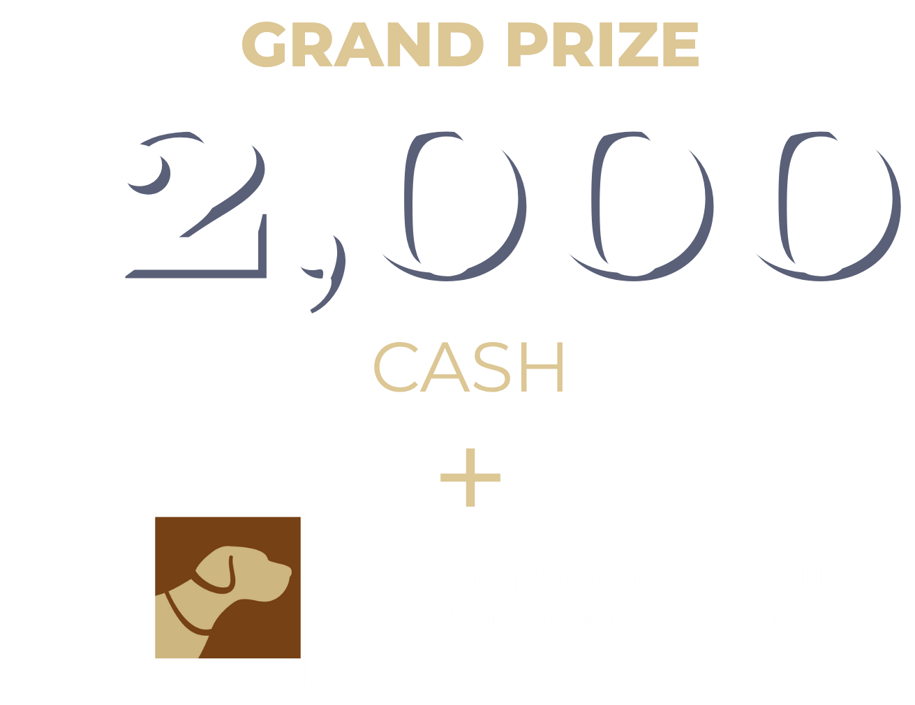 2000 (close) (1).png